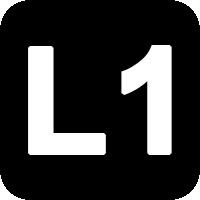 L1Dev